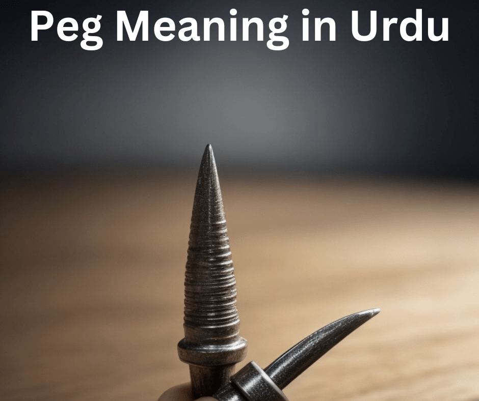 Peg Meaning in Urdu