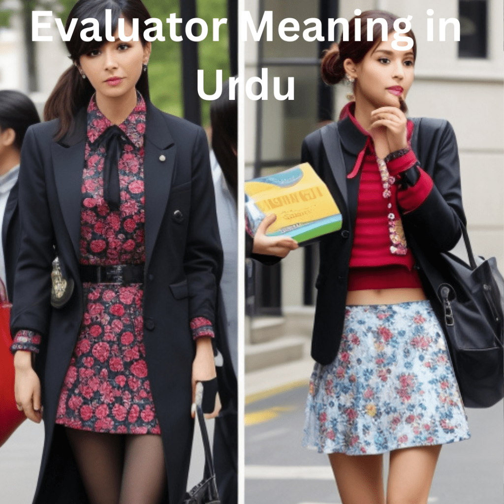 Evaluator Meaning in Urdu with Best Definition and Explanation