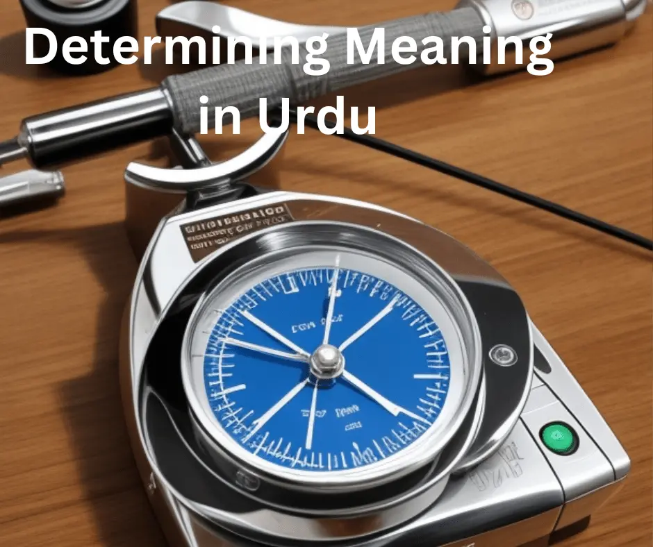 Determining Meaning in Urdu