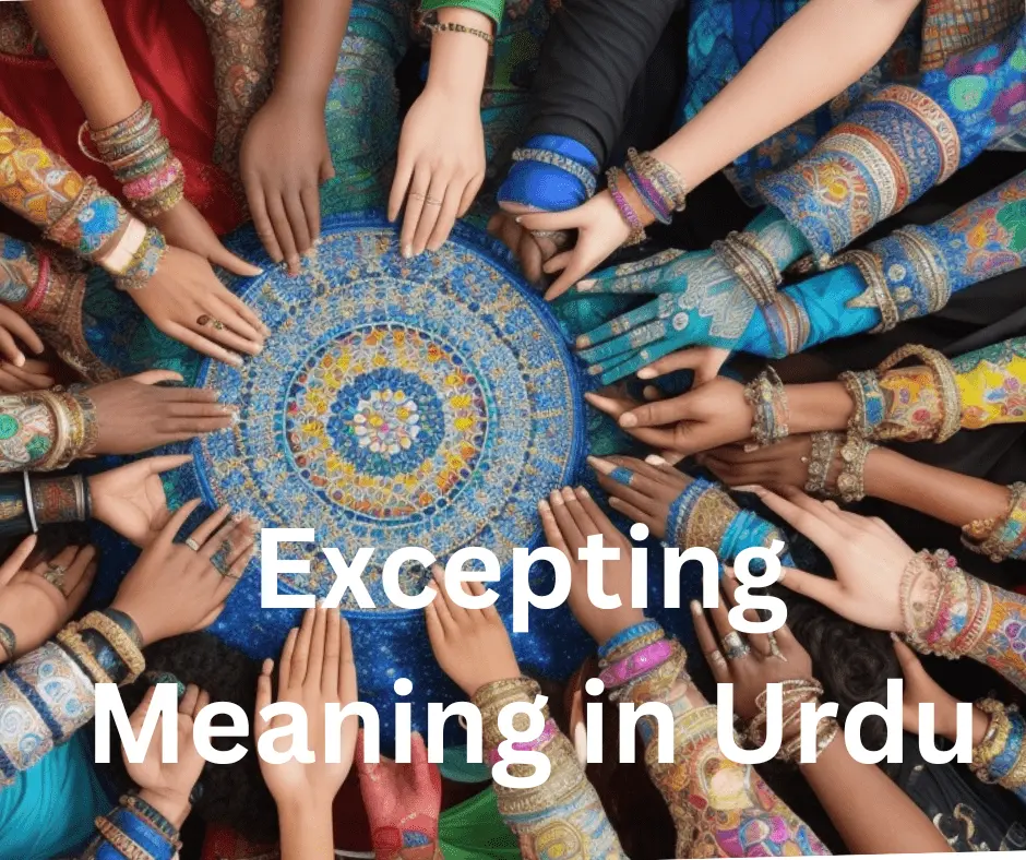 Excepting Meaning in Urdu
