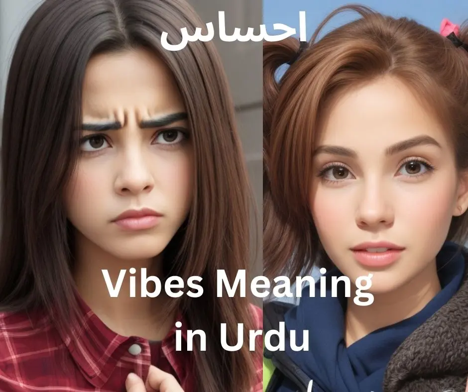 Meaning of Vibes in Urdu