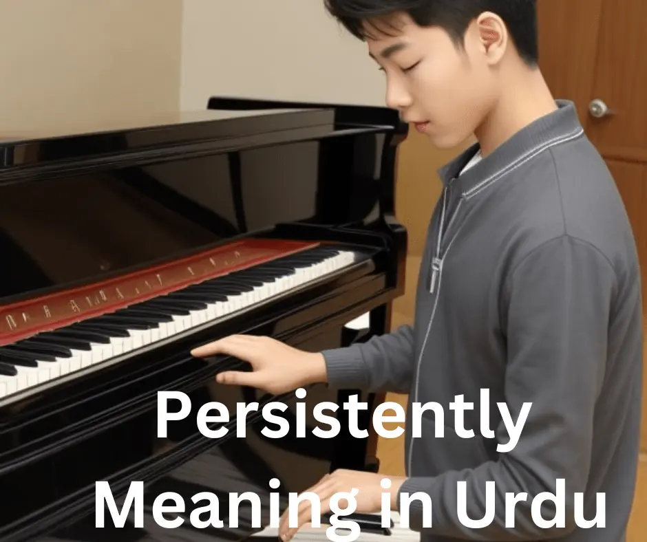 Persistently Meaning in Urdu