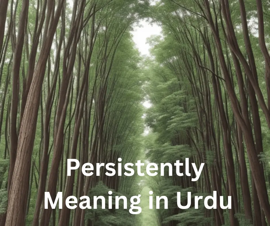 Persistently Meaning in Urdu with Best Explanation